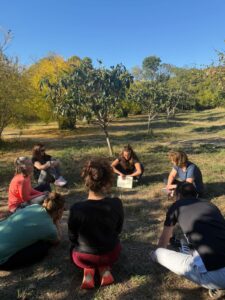 energie illimitee groupe amawe3